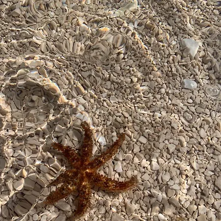 Novi Svijet Apartament