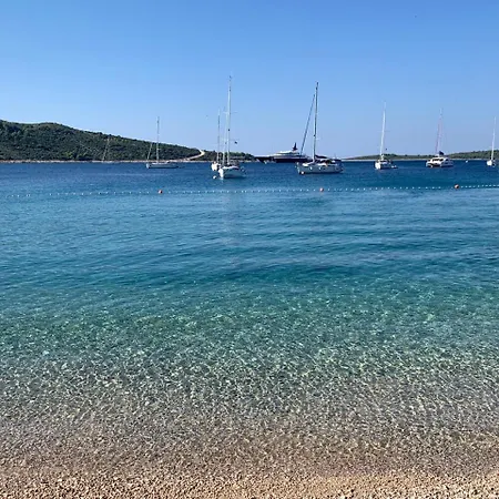 Novi Svijet *