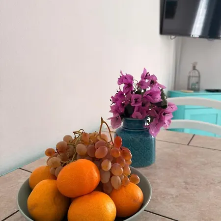 Novi Svijet Apartamento *