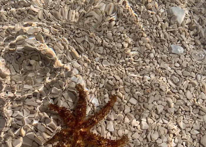 Novi Svijet Appartement