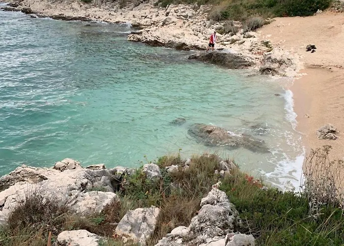 Novi Svijet Daire Rogoznica (Sibenik-Knin)