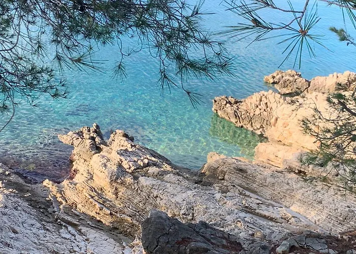 Novi Svijet Daire Rogoznica (Sibenik-Knin)